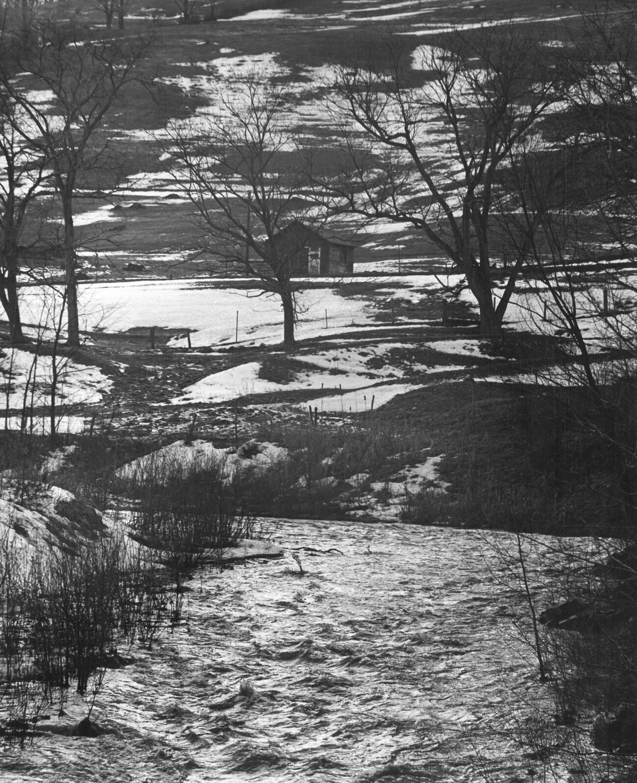 Snowy fields